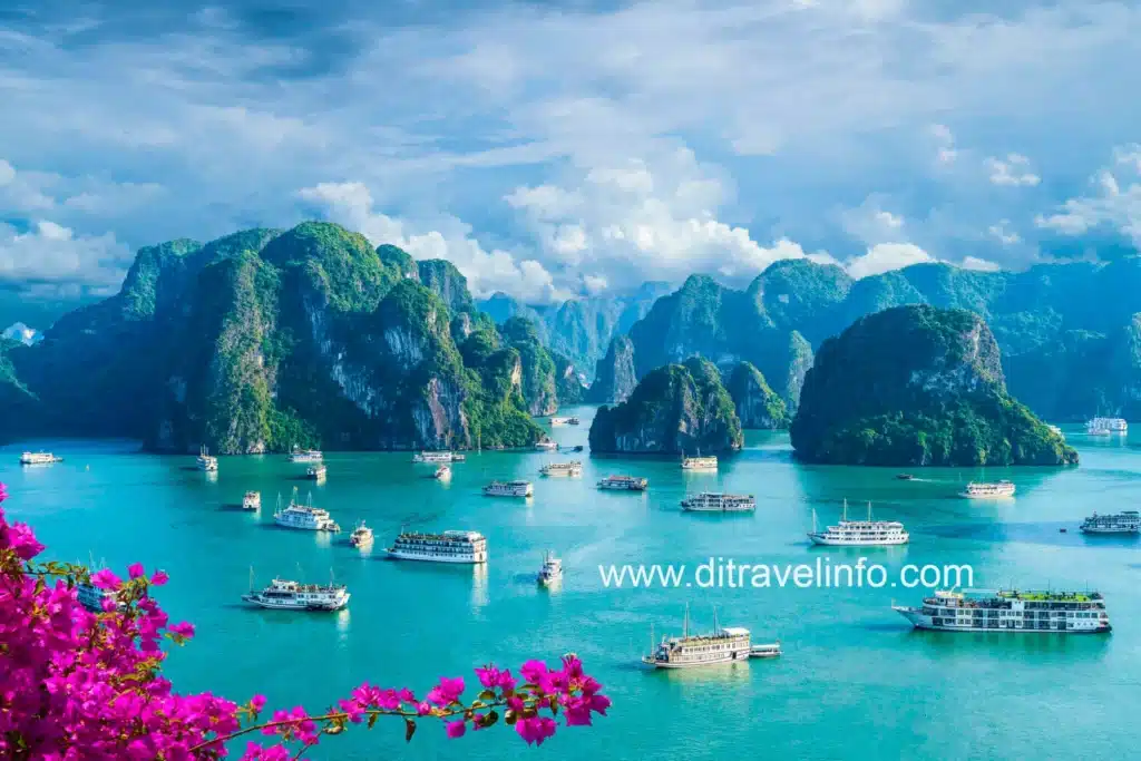 Best Place Travel To Vietnam