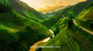 Natural Beauty Vietnam 