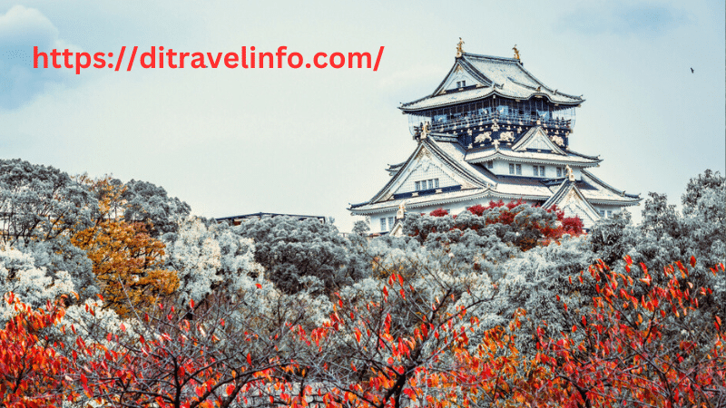 best places to visit in Japan for first timers 